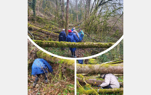 04/12/23 - Nordique à Beauvoir - Après les dégâts causés à la forêt par les intempéries récentes, la marche nordique adapte ses techniques !