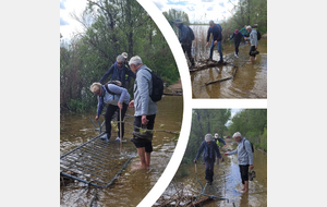 10/04/24 - Normale à Saint-Cyr animée par Raymonde B. : différentes techniques pour traverser un passage inondé sans mouiller ls chaussures ! Photos Jean-Jacques B.