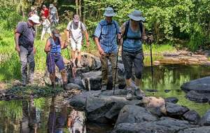 18/06/25 - Rando normale de Moussac animée par Jean-Jacques B. - Photo Jean-Jacques B.