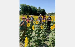 10/07/2025 - Normale à Sossay animée par Christian - Photo Josette.