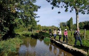 01/10/2025 - Normale à Ayron animée par Christian - Photo Joëlle C. - Le long de la Vendelogne