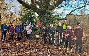 26/11/2025 - Normale à Senillé- Saint-Sauveur animée par Jean-Jacques B.
