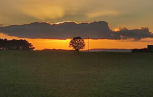 26/11/2025 - Normale à Senillé- Saint-Sauveur animée par Jean-Jacques B. - Soleil couchant vu par Christian.