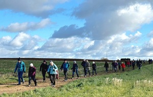 10/01/2026 - Rando normale dite de la galette animée par Bernard C. avec l'aide de Michel M. et Thierry M. - Photo Joël F.