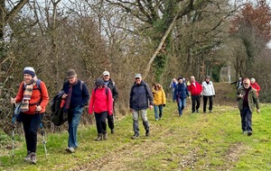 14/01/2026 - Mini rando animée par Raymond G. à Mignaloux -Beauvoir - Photo Joël F.