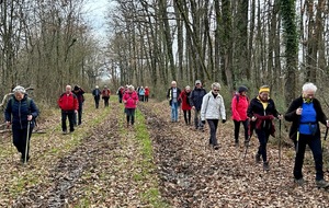 14/01/2026 - Mini rando animée par Raymond G. à Mignaloux -Beauvoir - Photo Joël F.