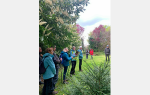 28/03/2026 - Normale à Vivonne animée par Geneviève - Photo Josette V.