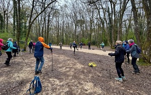 30/03/2026 - Nordique dans les Bois de Saint Pierre animée par Patrick B. et Christian G. - Photo Joël F. - Echauffements avant le départ - Le nombre d'amatrices et d'amateurs pour la nordique ne diminue pas (22 ce matin) ; il a fallu former deux groupes.
