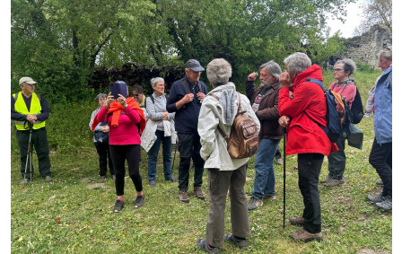 15/04/2026 - Mini rando à Marigny Brizay animée par Joël, aidé par Hervé qui a apporté ses connaissances sur la région - Photo Joël. La visite se poursuit. Les randonneurs attentifs autour du guide.