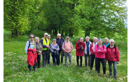 15/04/2026 - Mini rando à Marigny Brizay animée par Joël, aidé par Hervé qui a apporté ses connaissances sur la région - Photo Hélène.
